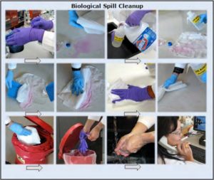 Biosafety Manual – Stanford Environmental Health & Safety