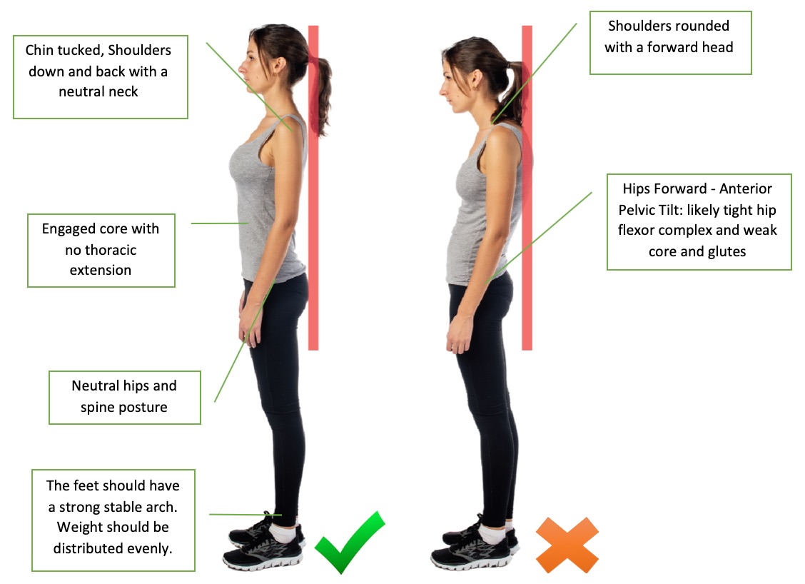 Correct Alignment of Human Body in Standing Posture for Good