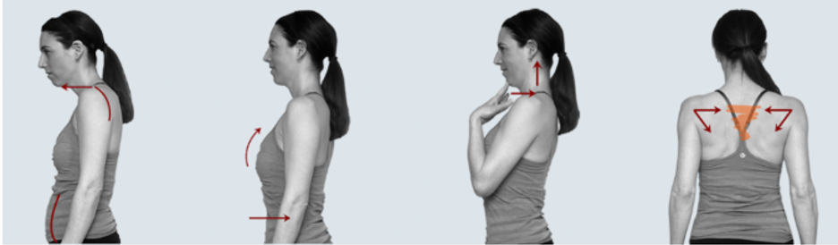 Good Posture and Overall Optimal Health